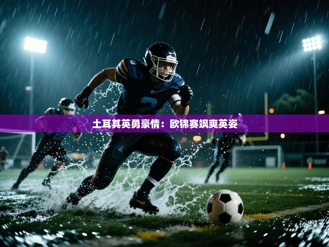 土耳其英勇豪情：欧锦赛飒爽英姿  第2张