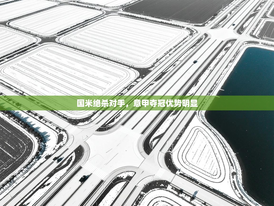 国米绝杀对手,意甲夺冠优势明显 第2张
