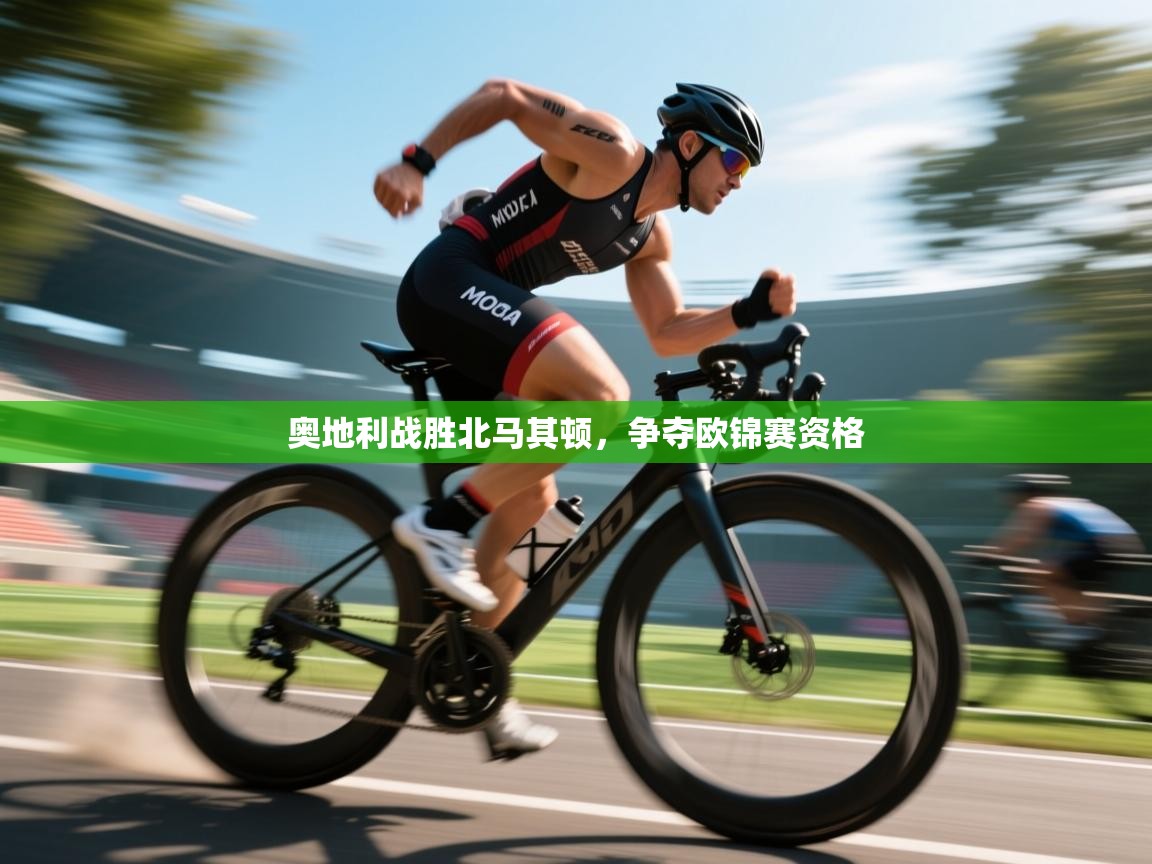 奥地利战胜北马其顿，争夺欧锦赛资格  第2张