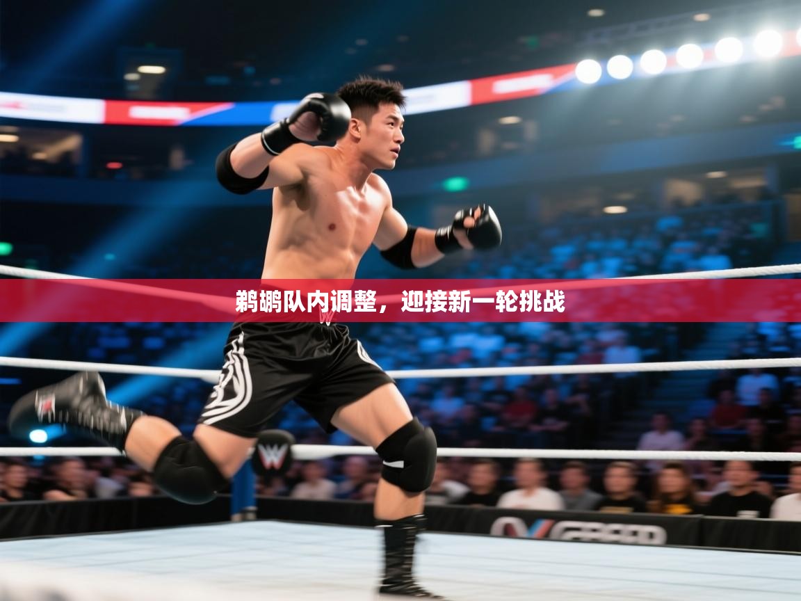 鹈鹕队内调整，迎接新一轮挑战