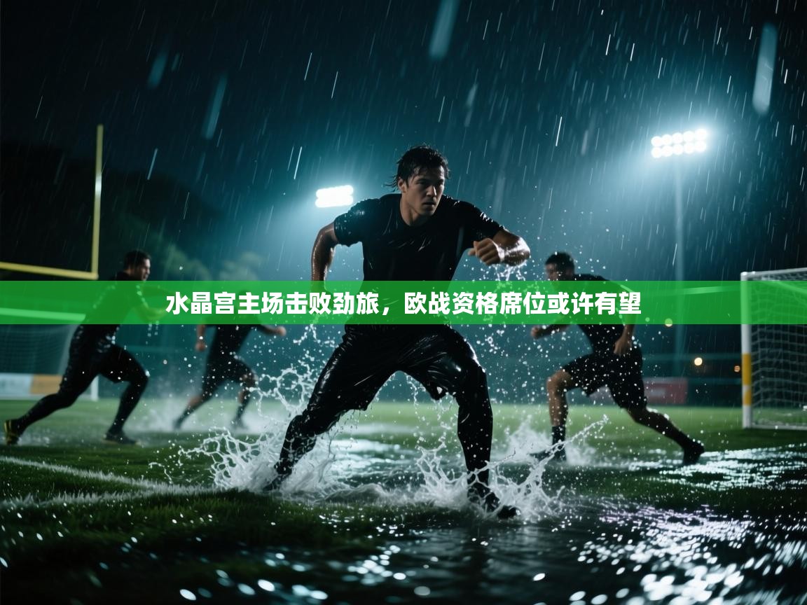 水晶宫主场击败劲旅,欧战资格席位或许有望 第1张