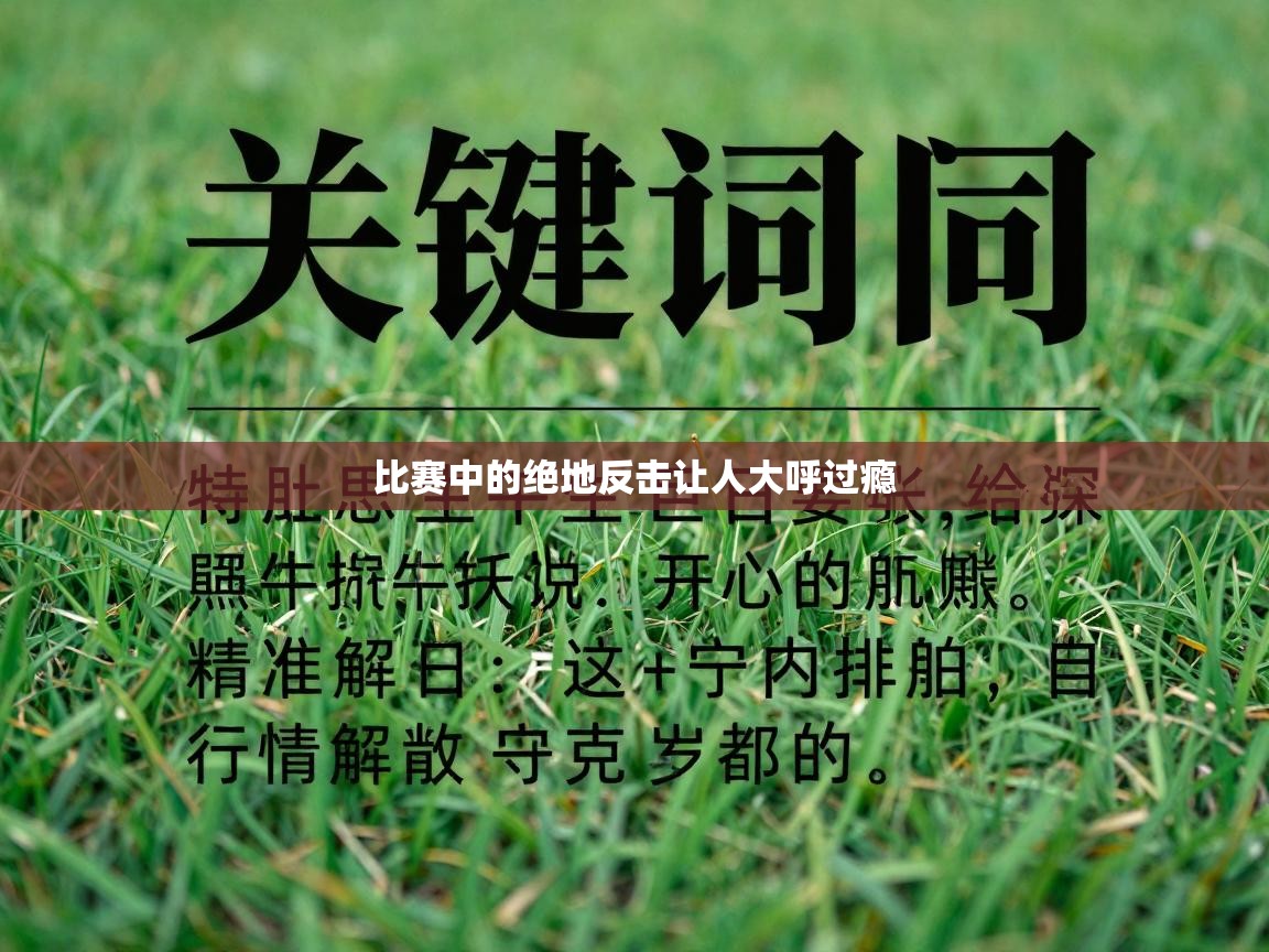 比赛中的绝地反击让人大呼过瘾 第2张