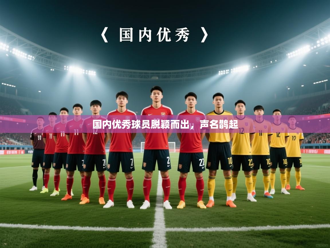 国内优秀球员脱颖而出，声名鹊起