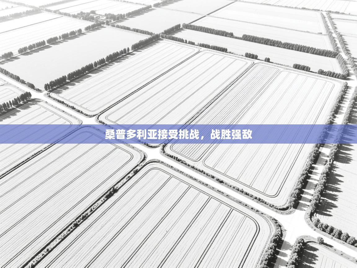 桑普多利亚接受挑战,战胜强敌