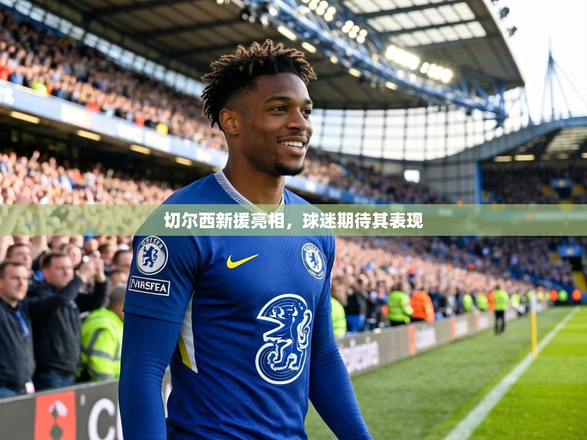 切尔西新援亮相，球迷期待其表现  第1张
