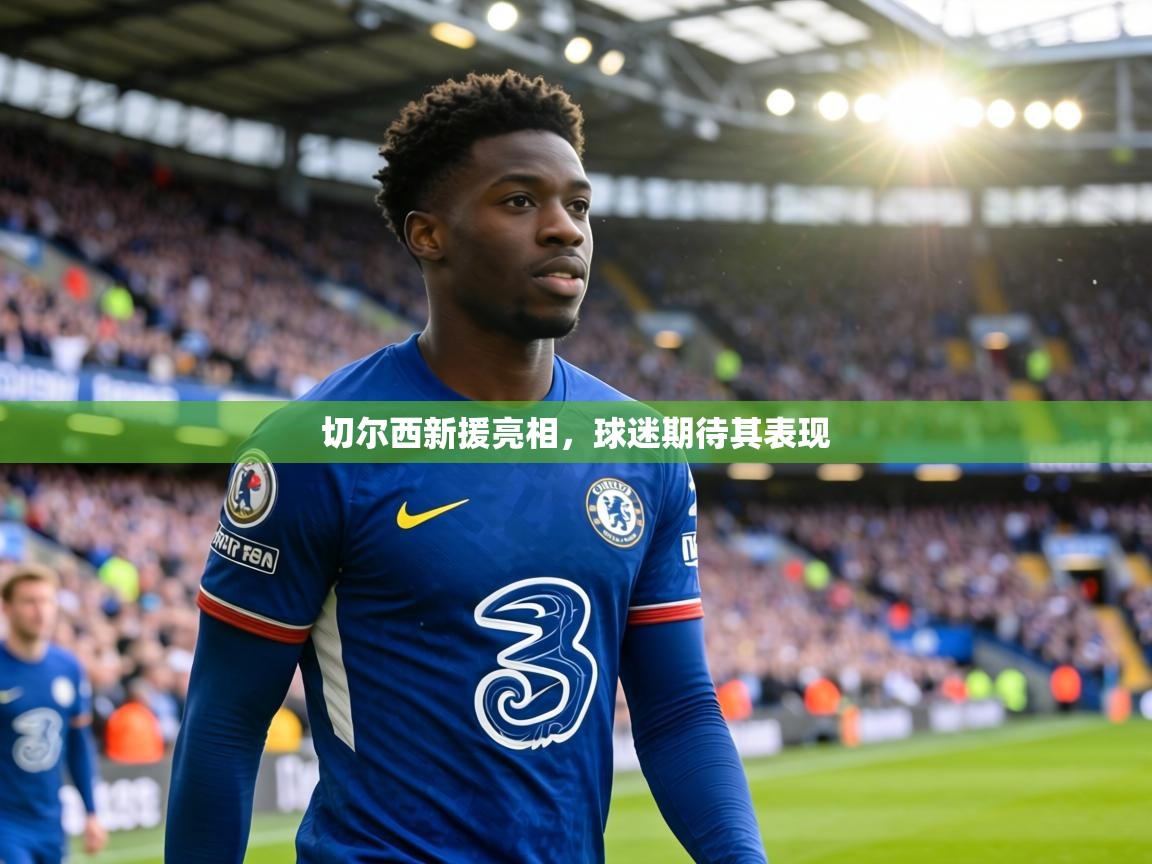 切尔西新援亮相，球迷期待其表现  第2张