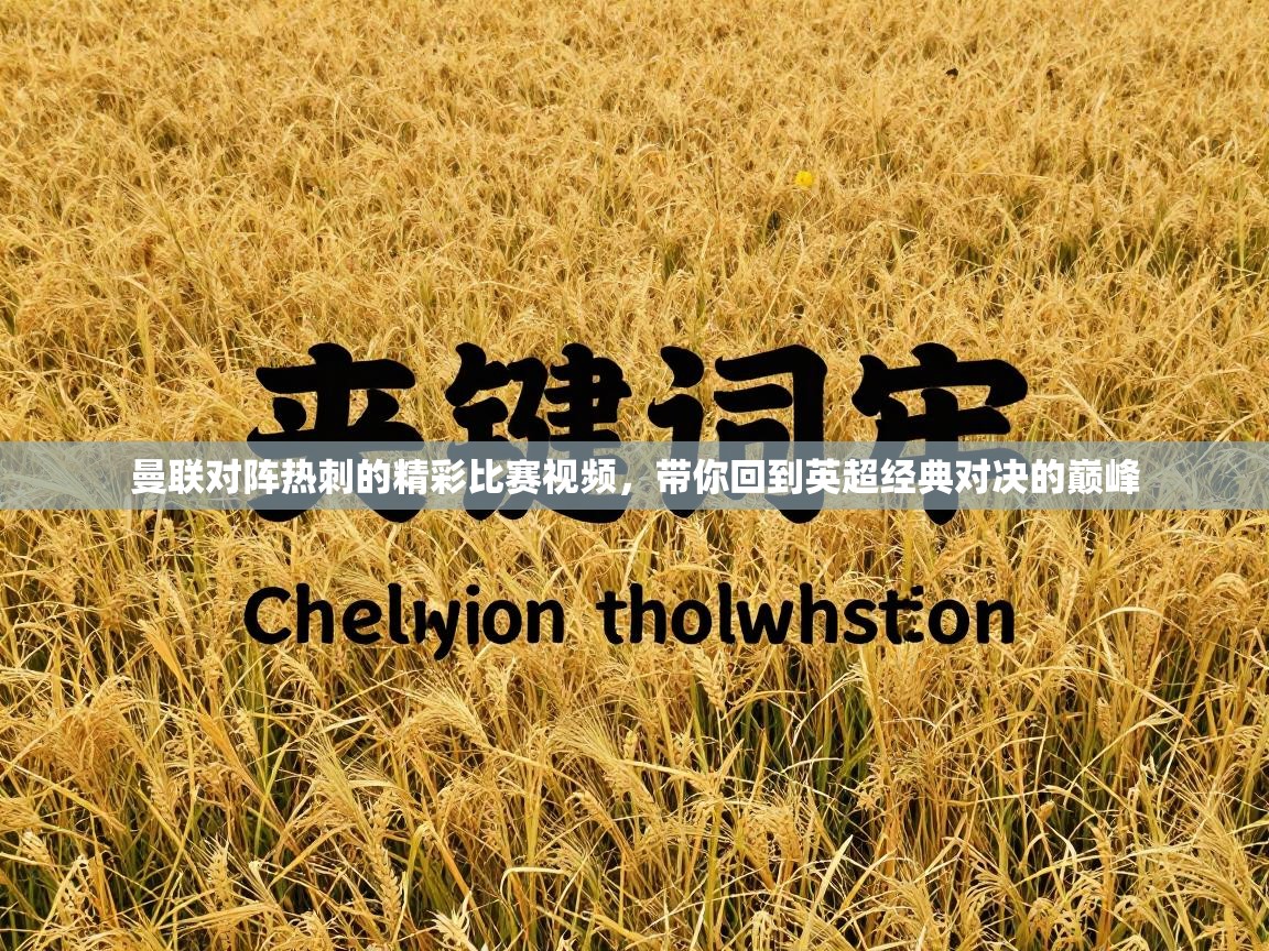 曼联对阵热刺的精彩比赛视频,带你回到英超经典对决的巅峰 第2张